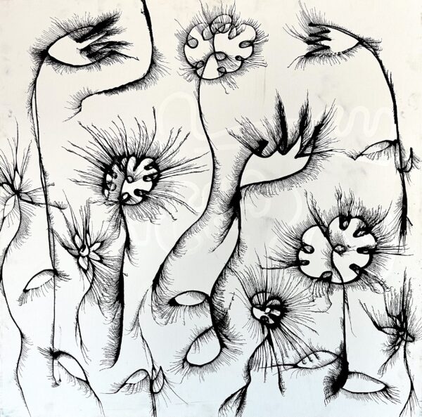 Tiny Miracles